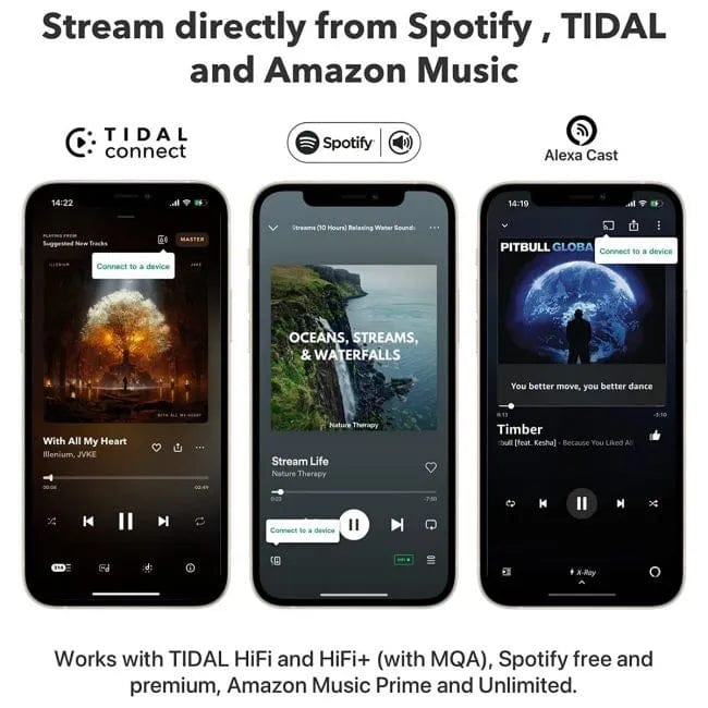 WiiM WiiM Pro Wireless Audio Streamer Hi-Res Lossless Music Streamers