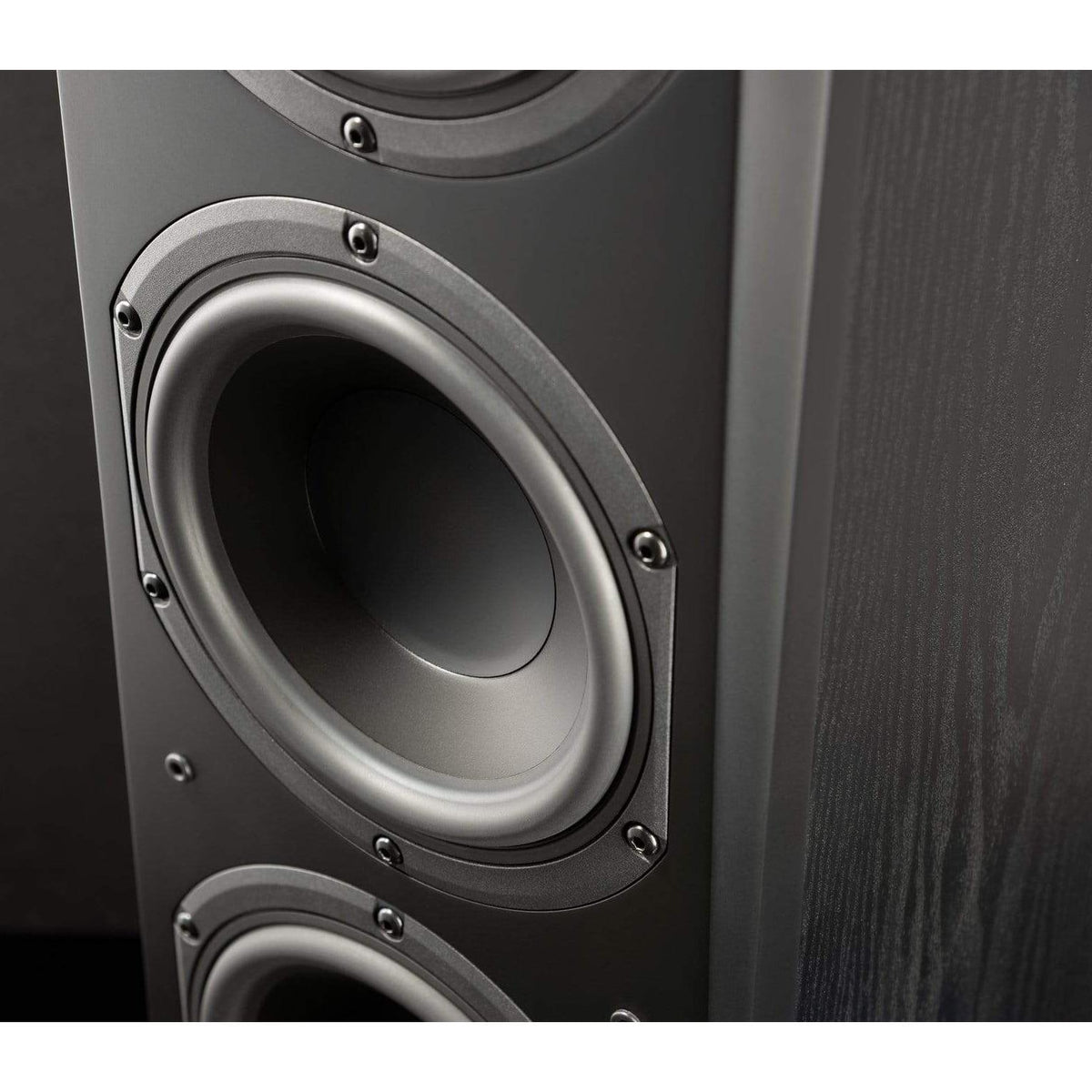SVS Sound SVS Prime Pinnacle Floor Standing Speakers Pair Floor Standing Speakers