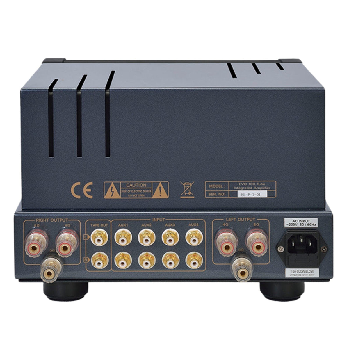 PrimaLuna PrimaLuna EVO 100 Tube Integrated Amplifier Integrated Amplifiers