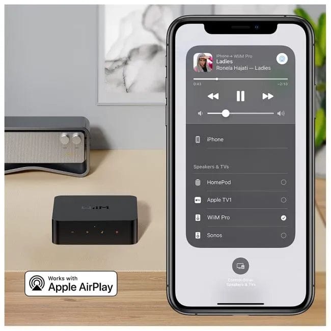 WiiM WiiM Pro Wireless Audio Streamer Hi-Res Lossless Music Streamers