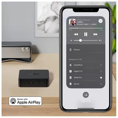 WiiM WiiM Pro Wireless Audio Streamer Hi-Res Lossless Music Streamers