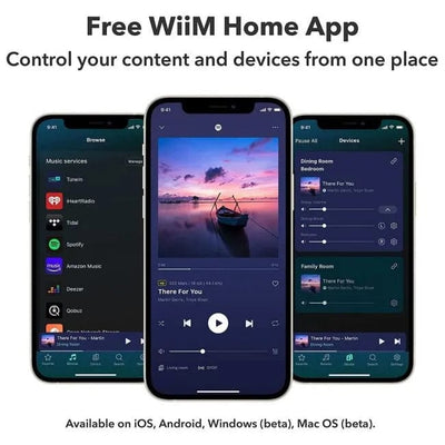 WiiM WiiM Pro Plus Wireless Audio Streamer Hi-Res Lossless Music Streamers