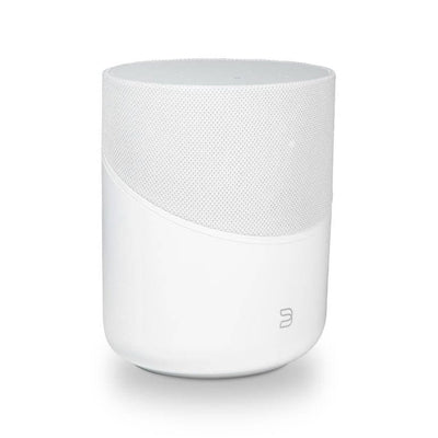 Bluesound Bluesound Pulse M Wireless Speaker Wireless Speakers