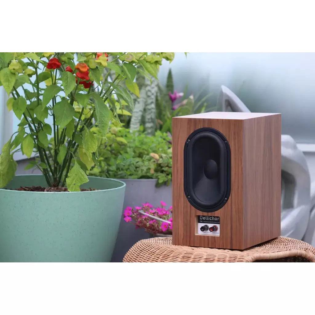 Dellichord Dellichord FR6 Bookshelf Speakers Isobaric Design Bookshelf Speakers