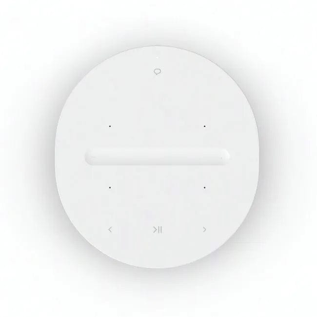 Sonos Sonos ERA 100 Wireless Smart Speaker Wireless Speakers